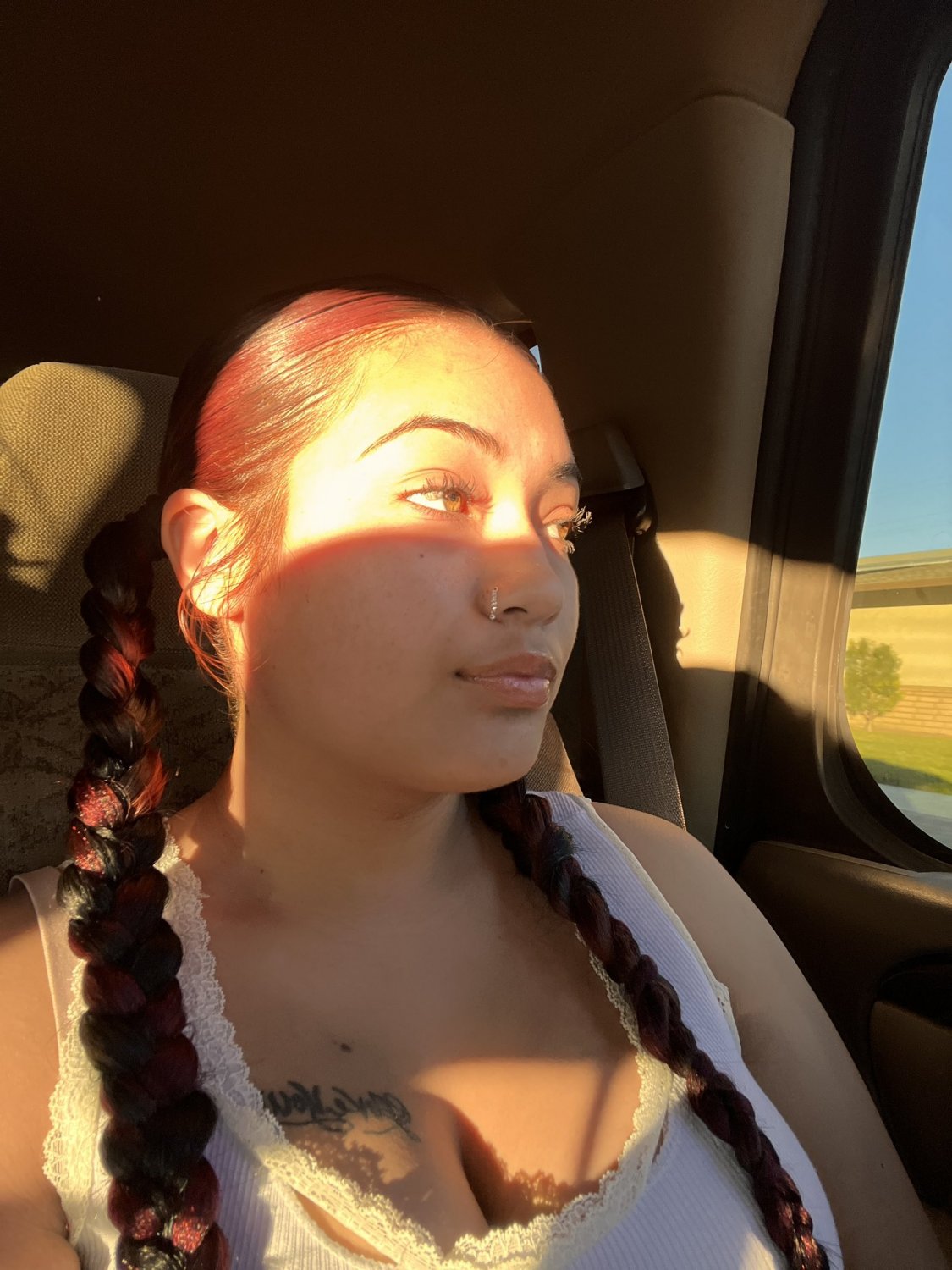 Asia 831 hoe salinas